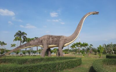 De dinosaurus is overal © Bert Sitters
