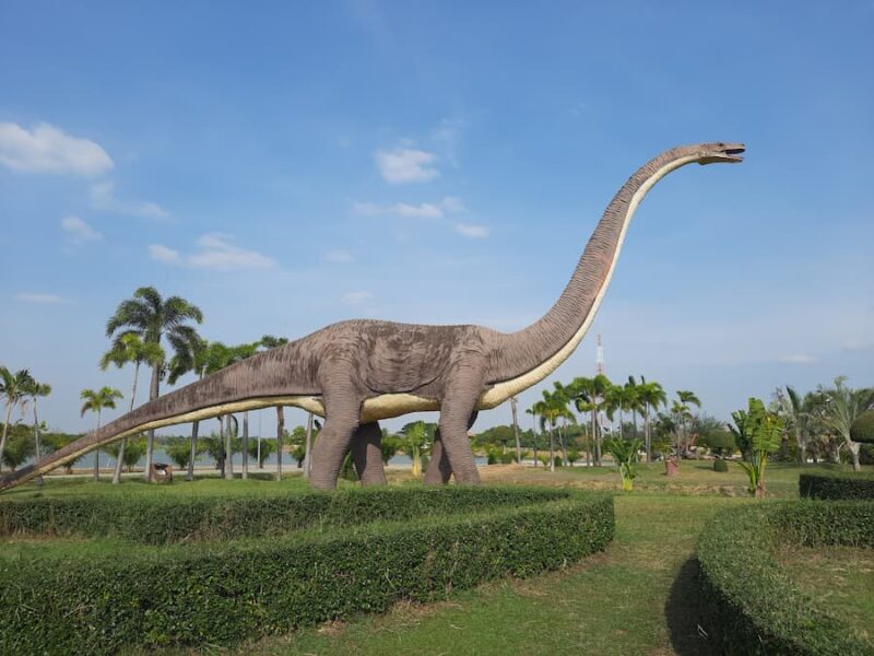 Provincie Kalasin 5 De dinosaurus is overal © Bert Sitters