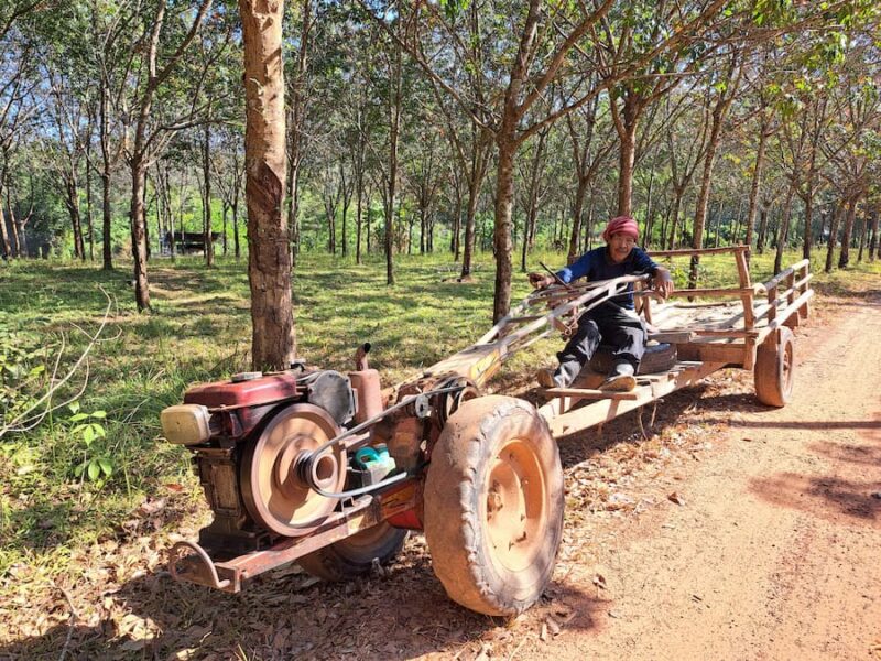 Provincie Yasothon 12 ijzeren buffel © Bert Sitters