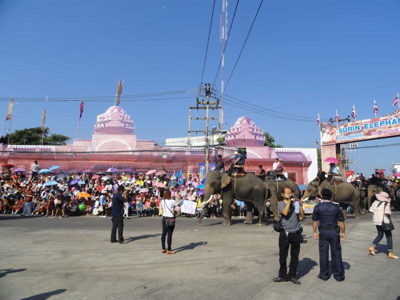 Surin provinciehoofdstad, olifanten en zijde 7 Aankomst van de 300 jumbo's © Bert Sitters