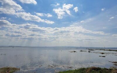 Nong Han is een natuurlijk meer © Bert Sitters