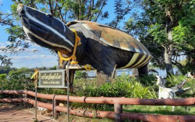De reuzenschildpad van Chaiyaphum © Bert Sitters