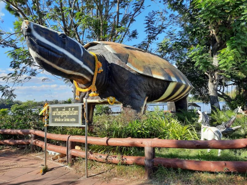 De provinciehoofdstad Chaiyaphum 4 De reuzenschildpad van Chaiyaphum © Bert Sitters