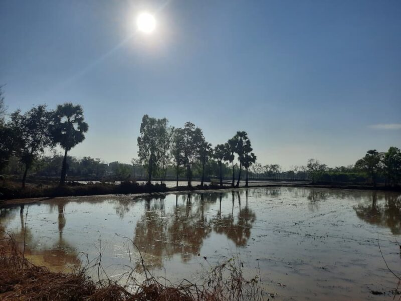 Provincie Maha Sarakham 13 In de regentijd treedt de Chi Rivier regelmatig bij haar oevers © Bert Sitters