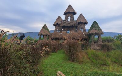 Strokasteel voor de Mount Fuji © Bert Sitters