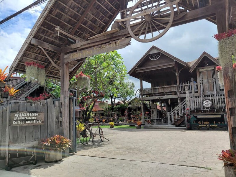 Provincie Nakhon Ratchasima (Korat): grootste provincie in de Isaan 23 coffee -& -field-huai-thalaeng-©-bert-sitters