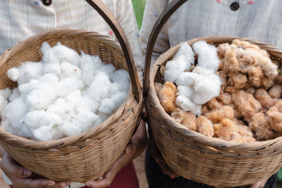 Zijde in de Isaan 2 Zijde-in-de-Isaan-gereed-om-te-weven -©-TAT