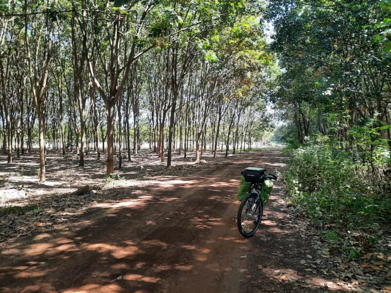 Khao Pra Wihan National Park en omgeving 9 Veel rubberplantages zijn verlaten © Bert Sitters