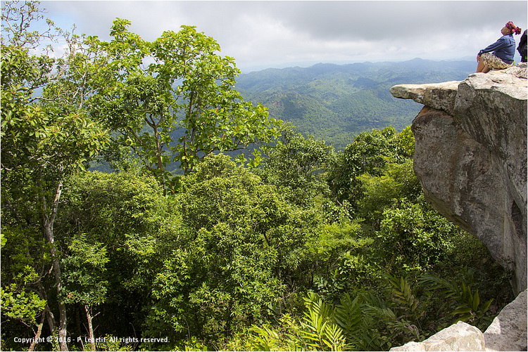 Sai Thong National Park in Chaiyaphum 3 Stoer op de rots in het Sai Tong National Park © Patrick le Petit
