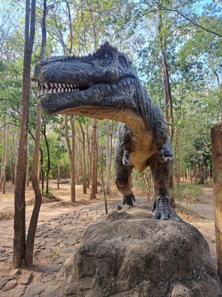 Het oosten van de provincie Kalasin 4 Welkom in Phu Faek Forest Park © Bert Sitters