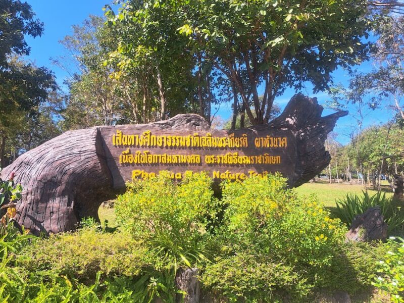 Provincie Chaiyaphum 7 Natuurpad voor de afdaling © Bert Sitters