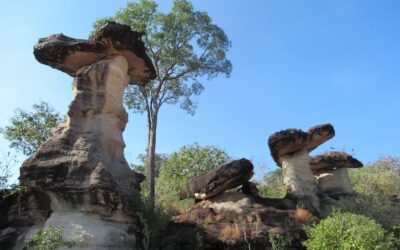 Pha Taem National Park © Bert Sitters