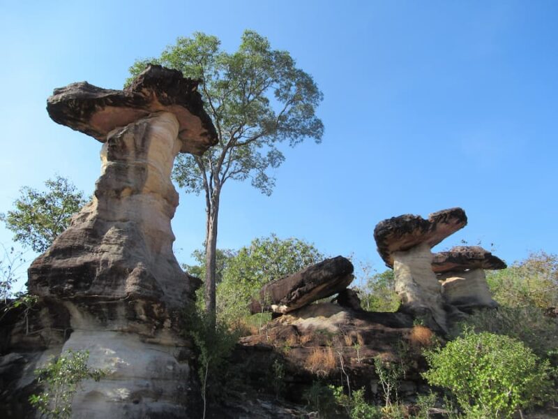 De Mekong in de provincie Ubon Ratchathani 6 Freudiaanse paddenstoelen © Bert Sitters