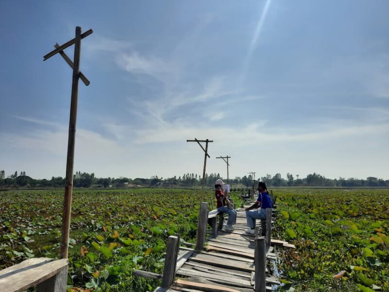 Provincie Maha Sarakham 7 Posseren op de houten brug door het moeras © Bert Sitters