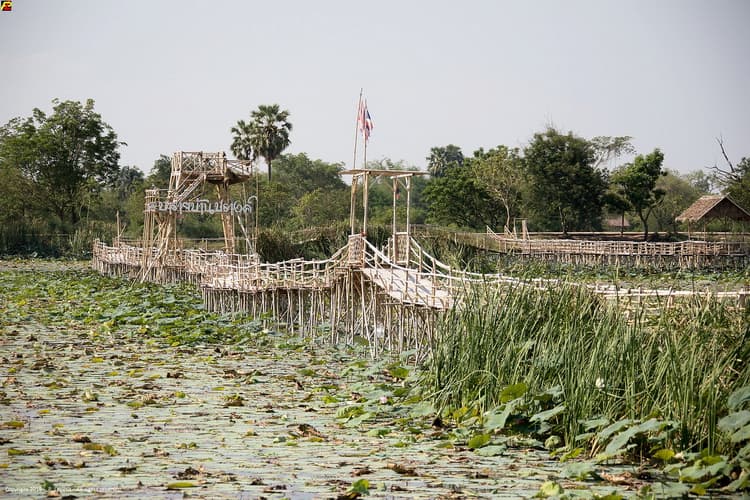 Provincie Nakhon Ratchasima (Korat): grootste provincie in de Isaan 11 Sierlijke Bamboe Bridge © Patrick le Petit