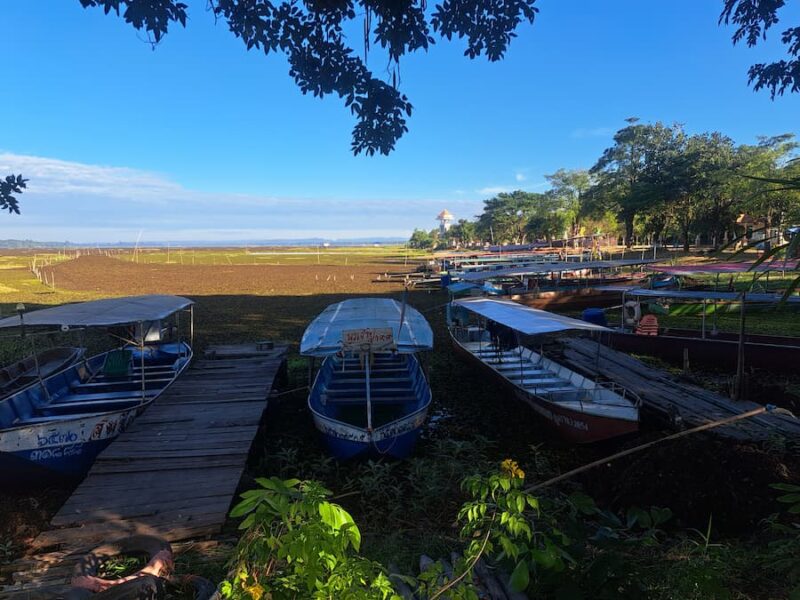Bueng Khong Long meer in Bueng Kan 6 Waterplanten maken het Beung Khong Long meer dicht © Bert Sitters