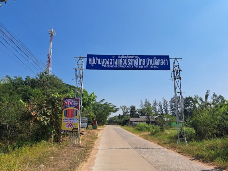 Provincie Khon Kaen 7 Welkom in het Cobradorp Ban Khok Sa Nga © Bert Sitters