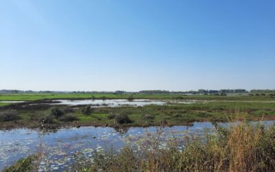 Bewoners zijn overstromingen gewend © Bert Sitters