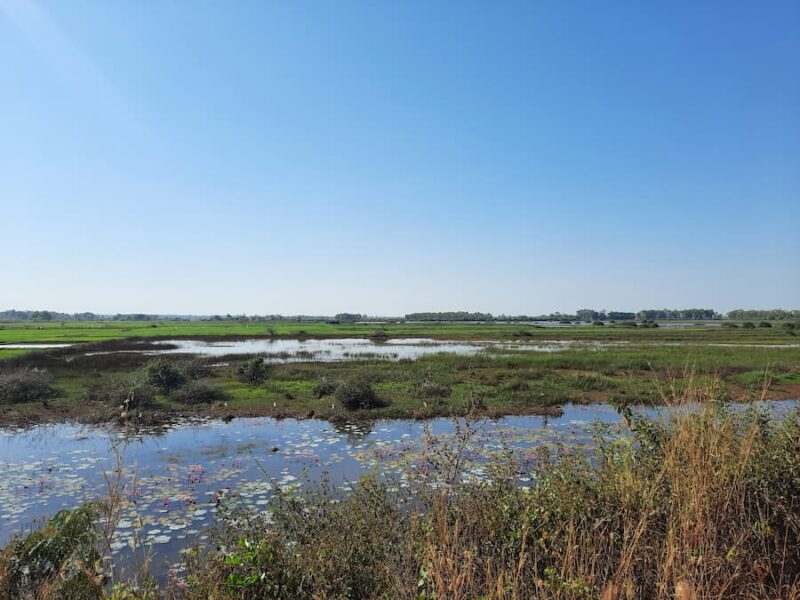 Songkhram River 3 Bewoners zijn overstromingen gewend © Bert Sitters