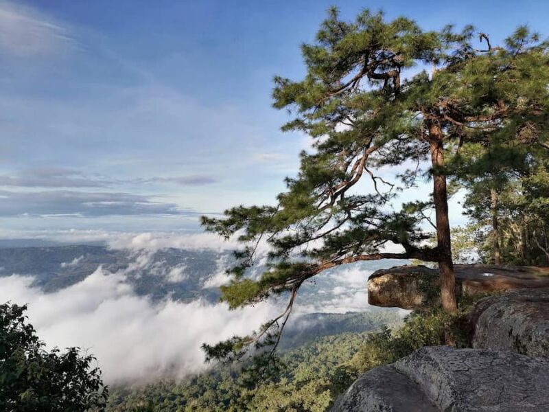 Phu Kradueng National Park 3 62 1