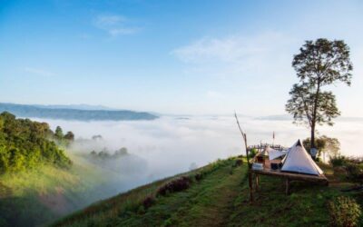 Phu Kradueng National Park Phu Ko © TAT