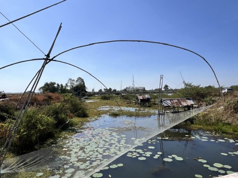 Red Lotus Lake (Han Kumphawapi) 5 han-khumphawapi-vissers-actief-©-peter-vanzanten