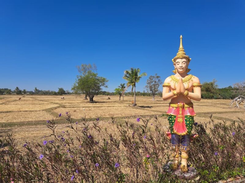 Provincie Si Sa Ket 9 Zicht vanuit Nagawat Park op de rijstvelden © Bert Sitters