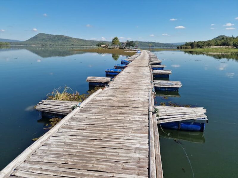 Hug-Tad-Ha-Bridge-©-Aniphys