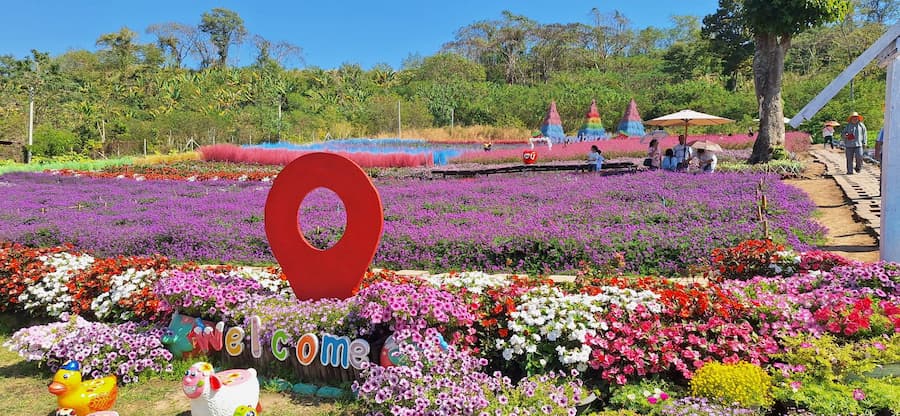 Lan-View-Strawberry-Farm-©Daniel-Bouckhuyt