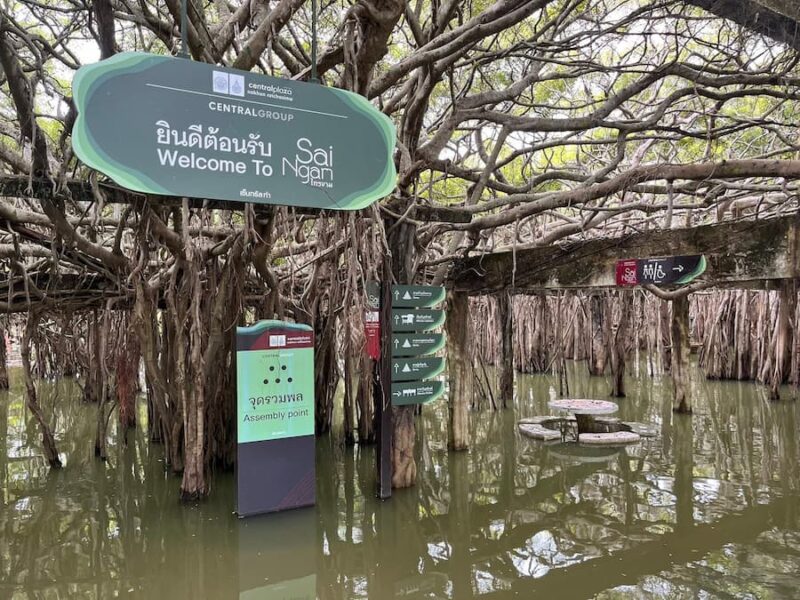 Phimai Historical Park 6 Sai-Ngam-onder-water-©Peter-Vanzanten