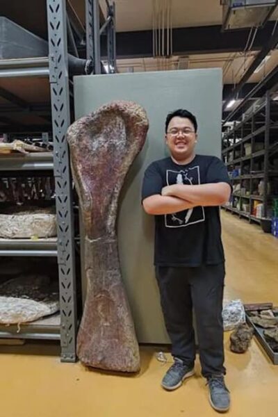 Dinosaurussen in de Isaan 2 opperarmbeen-van dinosauris -nagatitan-chaiyaphumensis-©-reuters