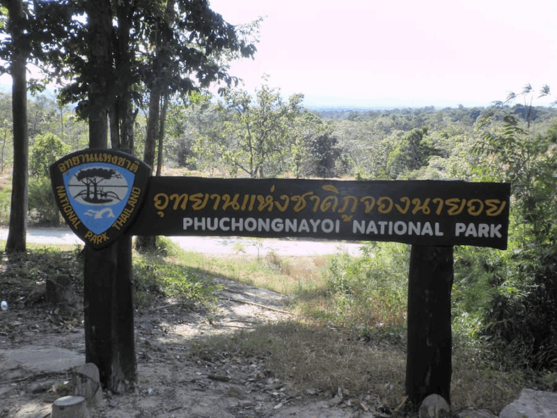 Provincie Ubon Ratchathani 13 Provincie Ubon Ratchathani Phu Chong Na Yoi National Park © Bert Sitters