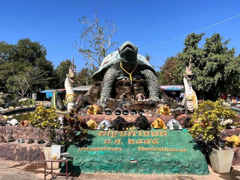 Phu Pha Yon National Park 2 reuzenschildpad-©Peter-Vanzanten